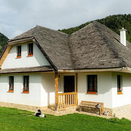 Pensiunea Hodaita Măgura Buitenkant foto
