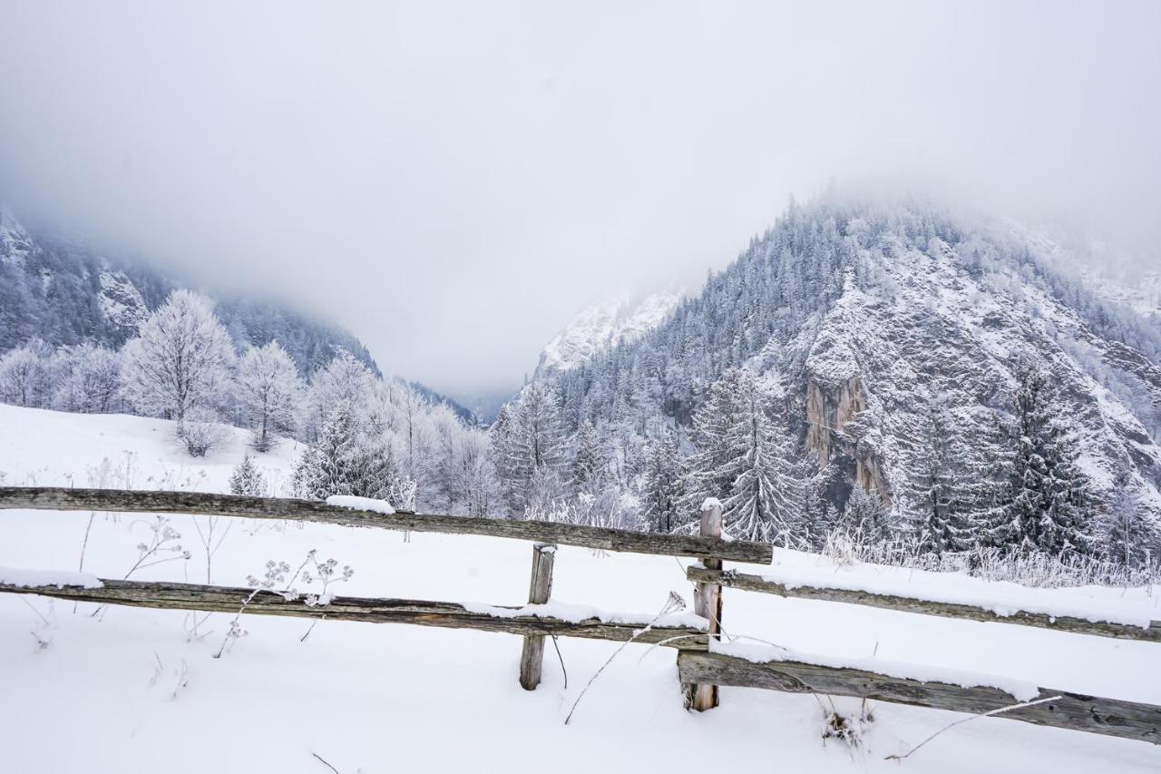 Pensiunea Hodaita Măgura Buitenkant foto