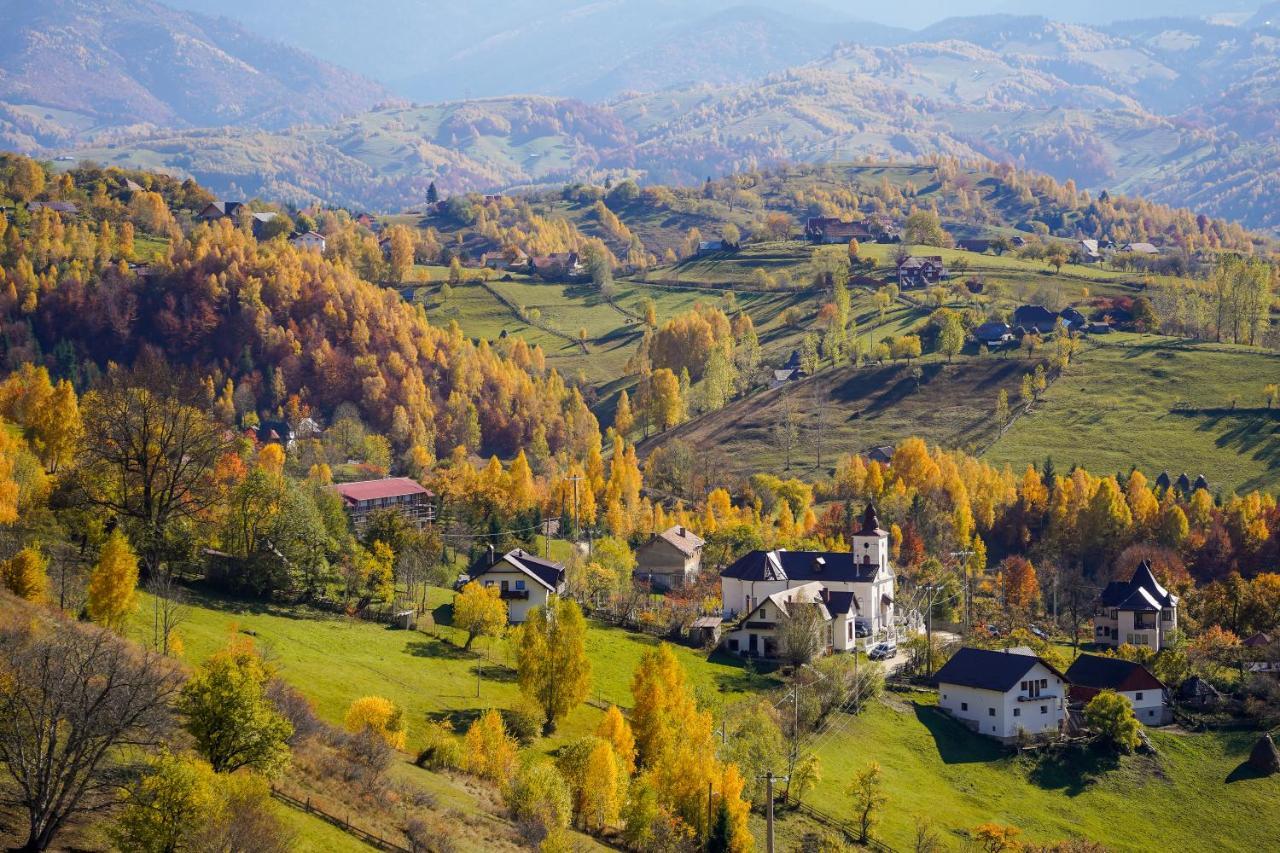 Pensiunea Hodaita Măgura Buitenkant foto