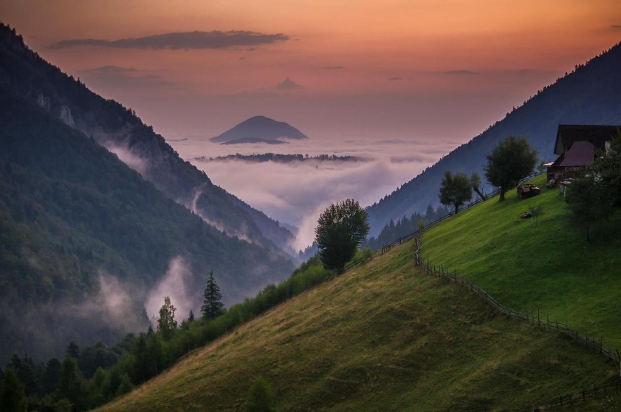 Pensiunea Hodaita Măgura Buitenkant foto