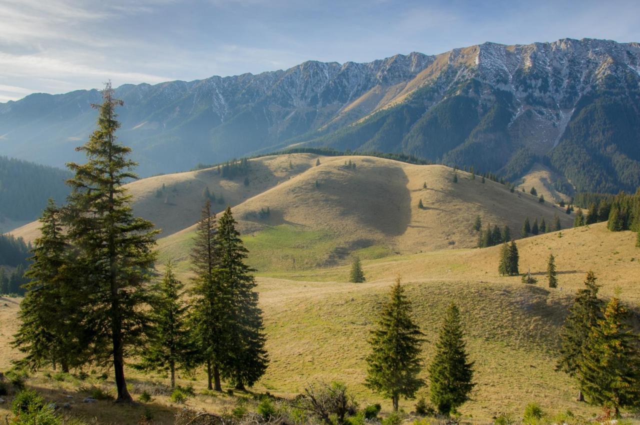 Pensiunea Hodaita Măgura Buitenkant foto