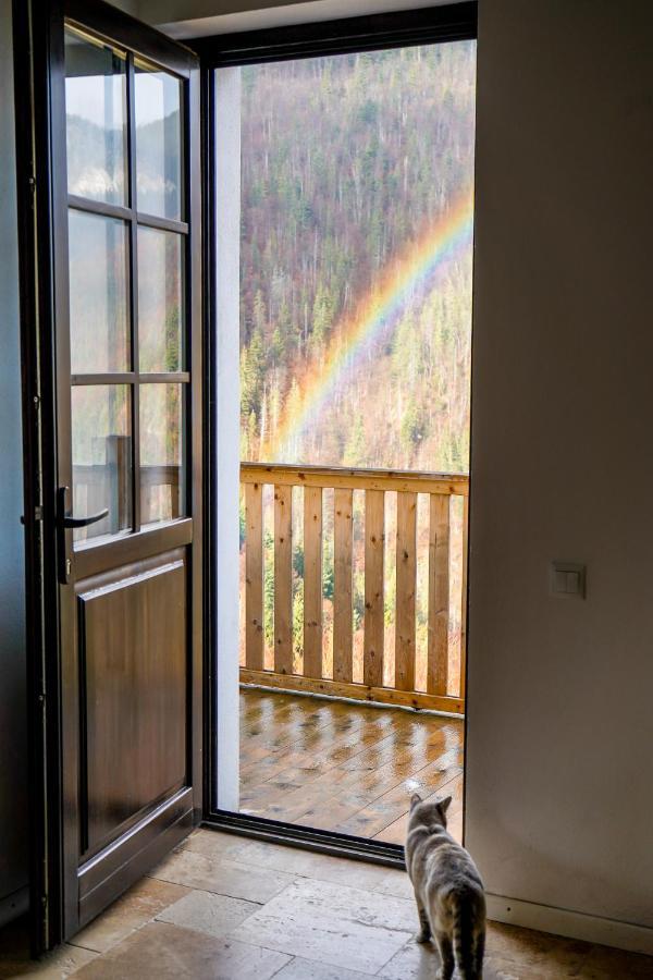 Pensiunea Hodaita Măgura Buitenkant foto