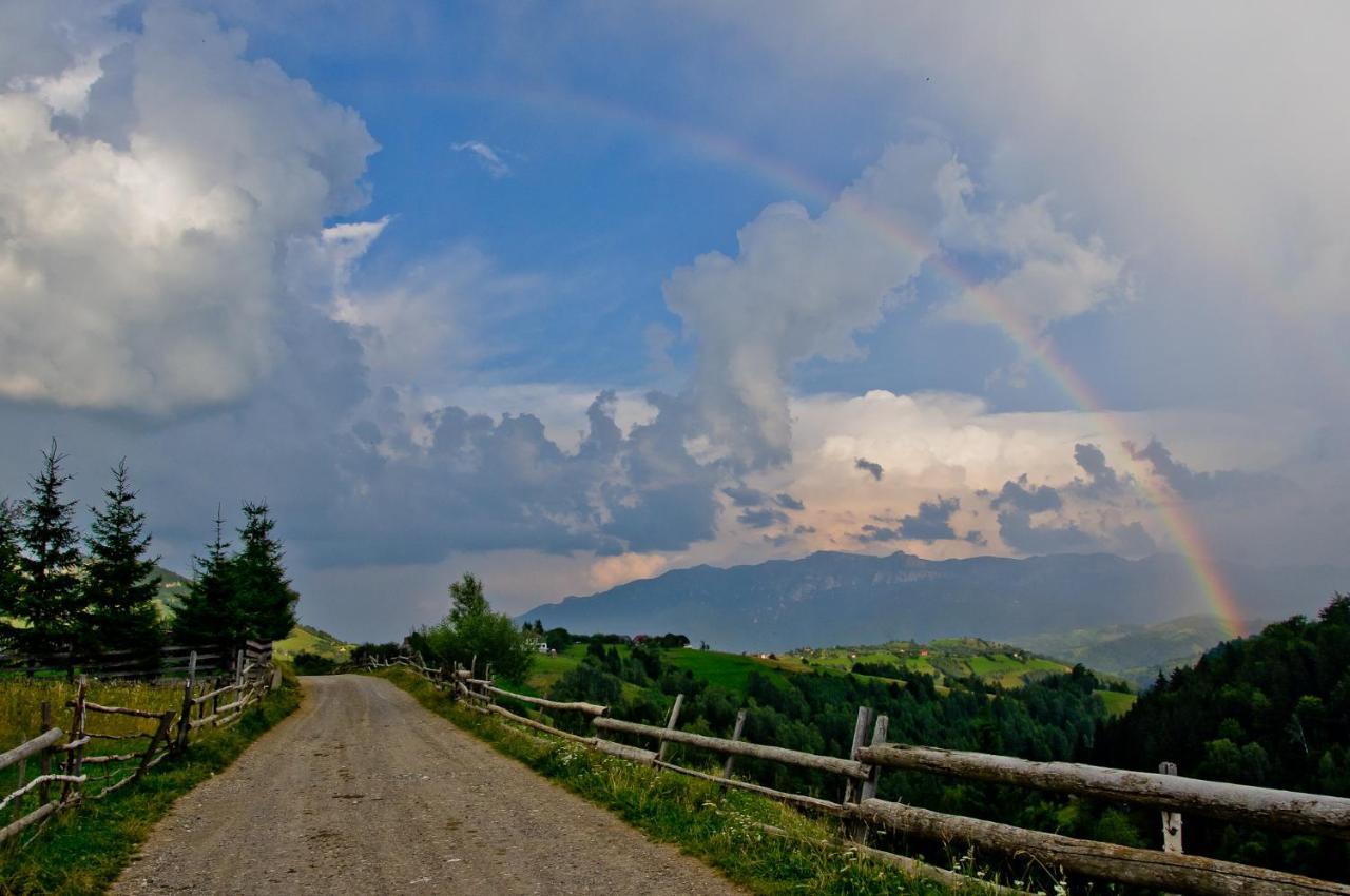 Pensiunea Hodaita Măgura Buitenkant foto