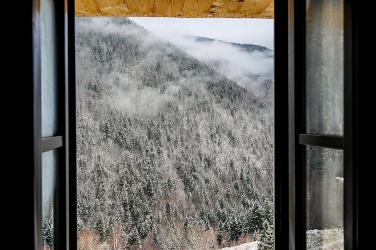 Pensiunea Hodaita Măgura Buitenkant foto