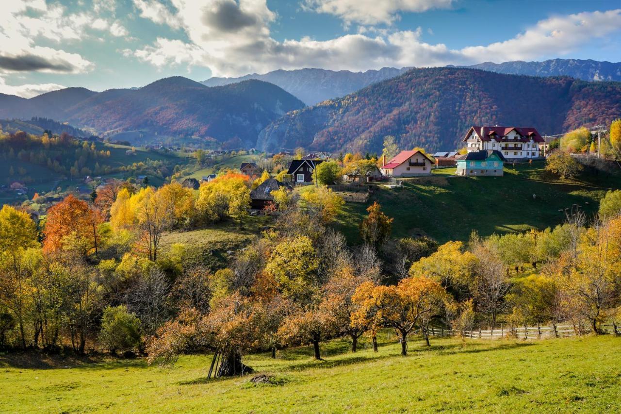 Pensiunea Hodaita Măgura Buitenkant foto