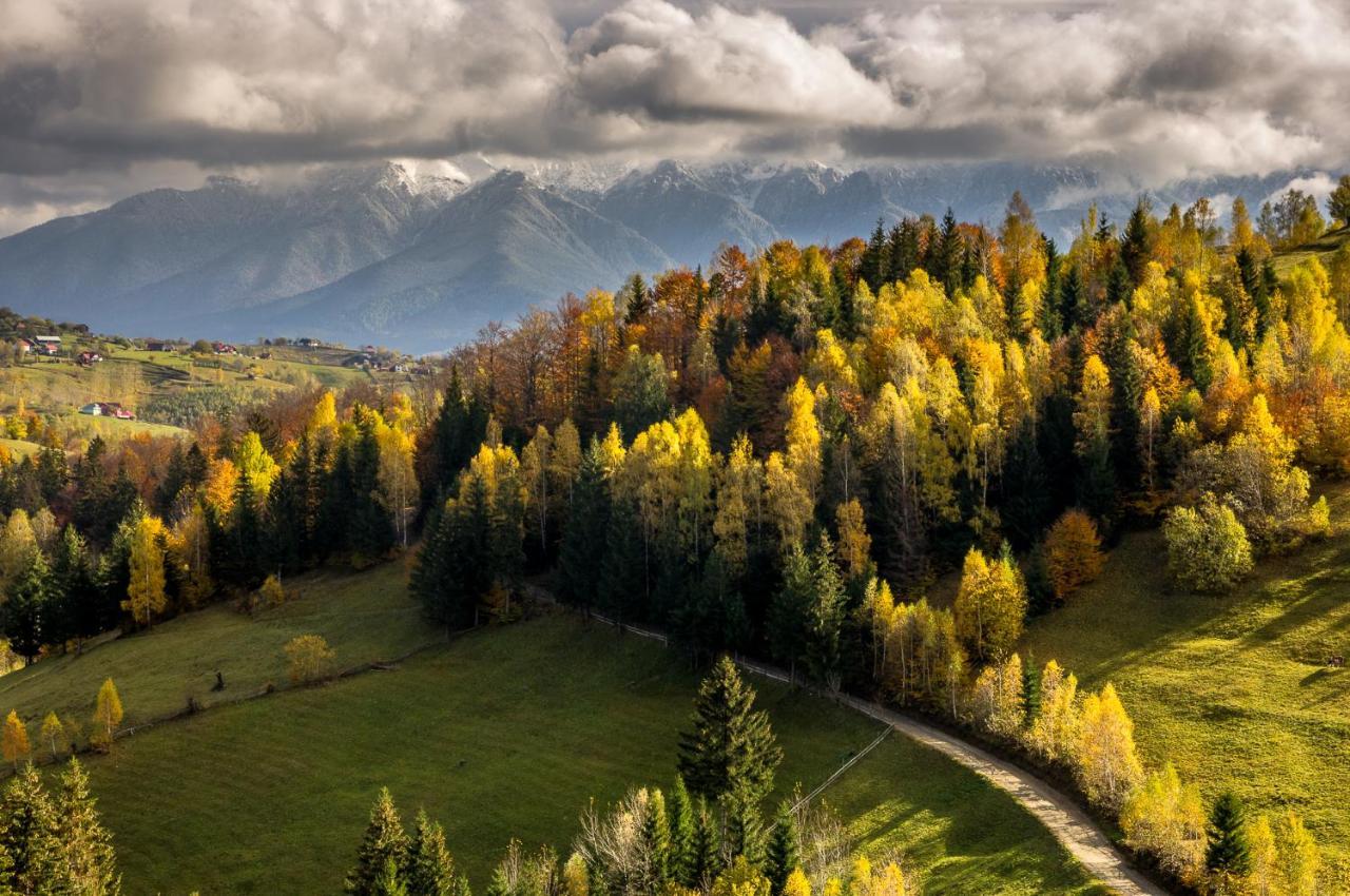 Pensiunea Hodaita Măgura Buitenkant foto