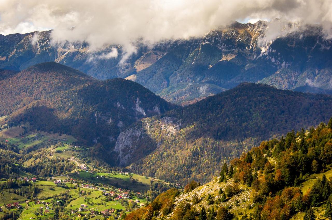 Pensiunea Hodaita Măgura Buitenkant foto