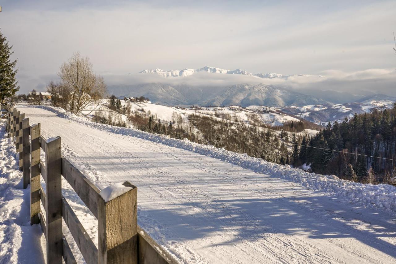 Pensiunea Hodaita Măgura Buitenkant foto