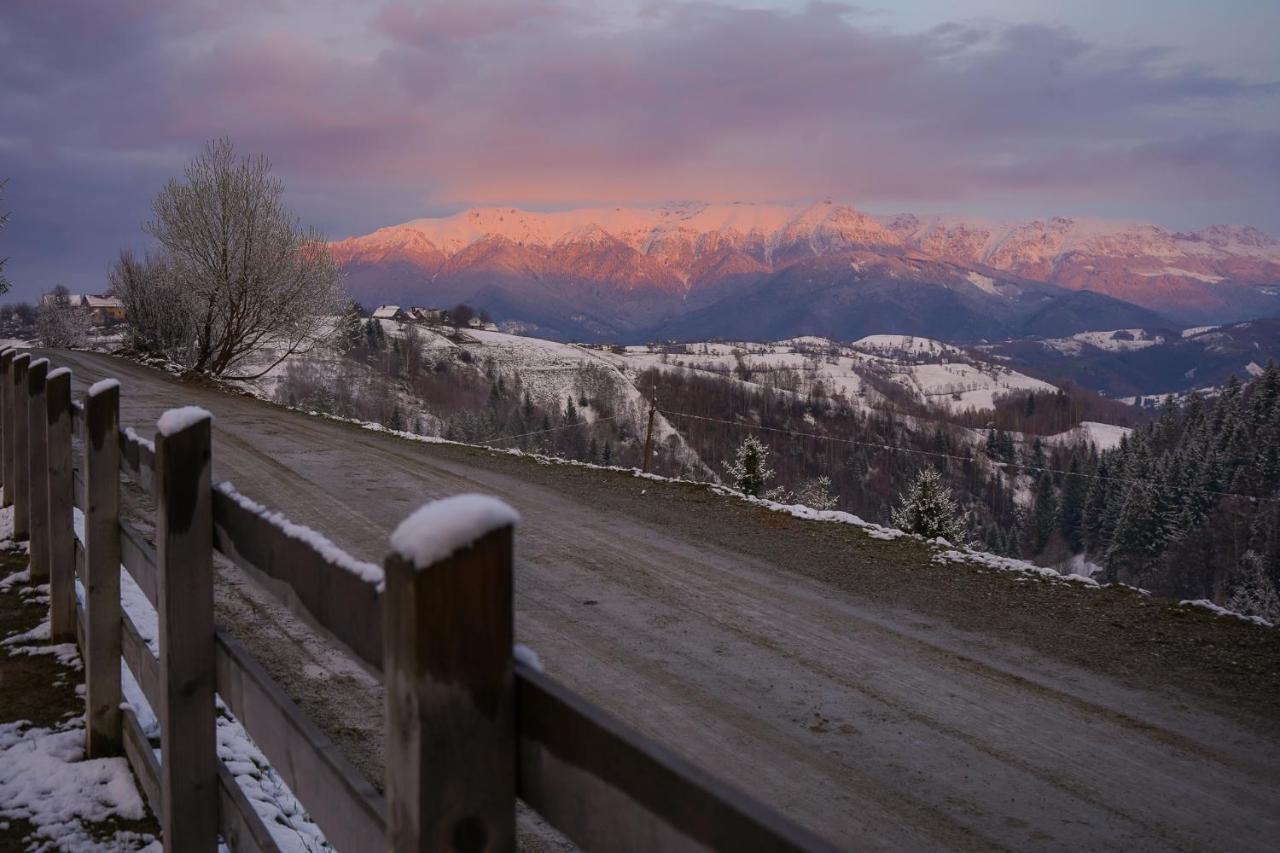 Pensiunea Hodaita Măgura Buitenkant foto